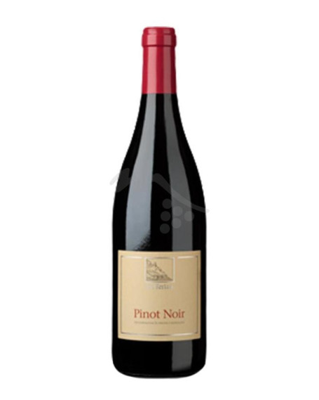 Pinot Noir 2021 Alto Adige DOC Cantina Terlano