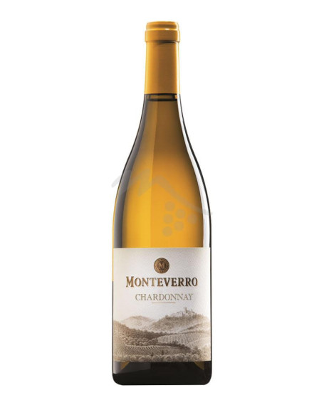 Chardonnay 2019 Toscana IGT Monteverro