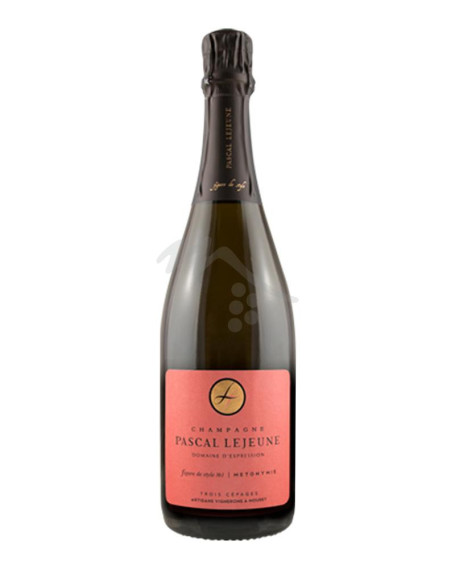 Cuvée Métonymie Extra Brut Champagne AOC Pascal Lejeune