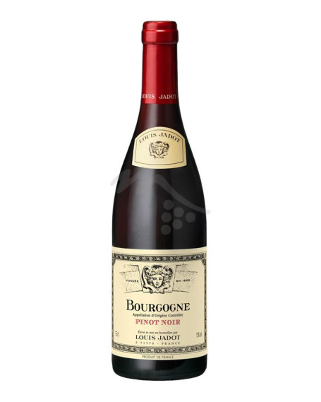Pinot Noir 2021 Bourgogne AOC Louis Jadot
