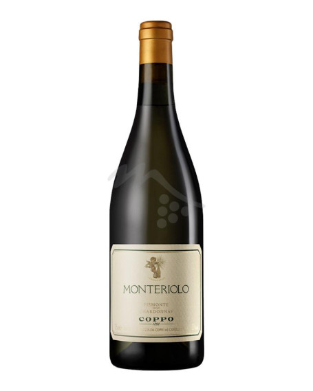 Monteriolo Chardonnay 2020 Piemonte DOC Coppo