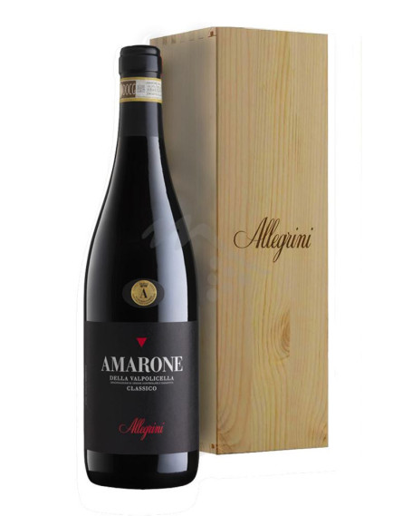 Amarone 2019 Amarone della Valpolicella DOCG Allegrini - Magnum
