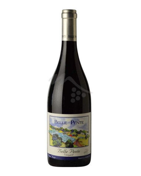 Pinot Noir 2020 Willamette Valley Belle Pente