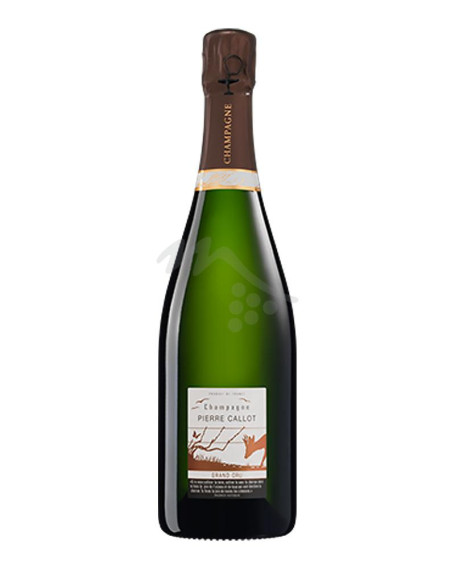 Brut Blanc de Blancs Grand Cru Champagne AOC Pierre Callot