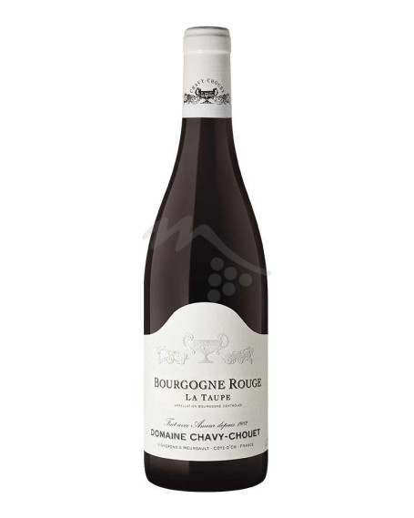 La Taupe 2021 Bourgogne AOC Domaine Chavy-Chouet