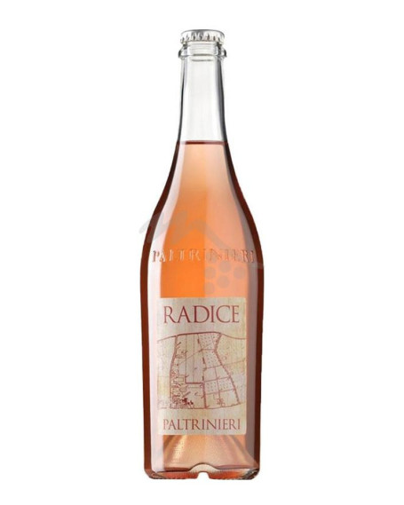 Radice 2024 Lambrusco di Sorbara DOC Paltrinieri