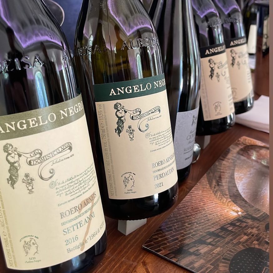 Azienda Agricola Angelo Negro - i migliori vini del Piemonte